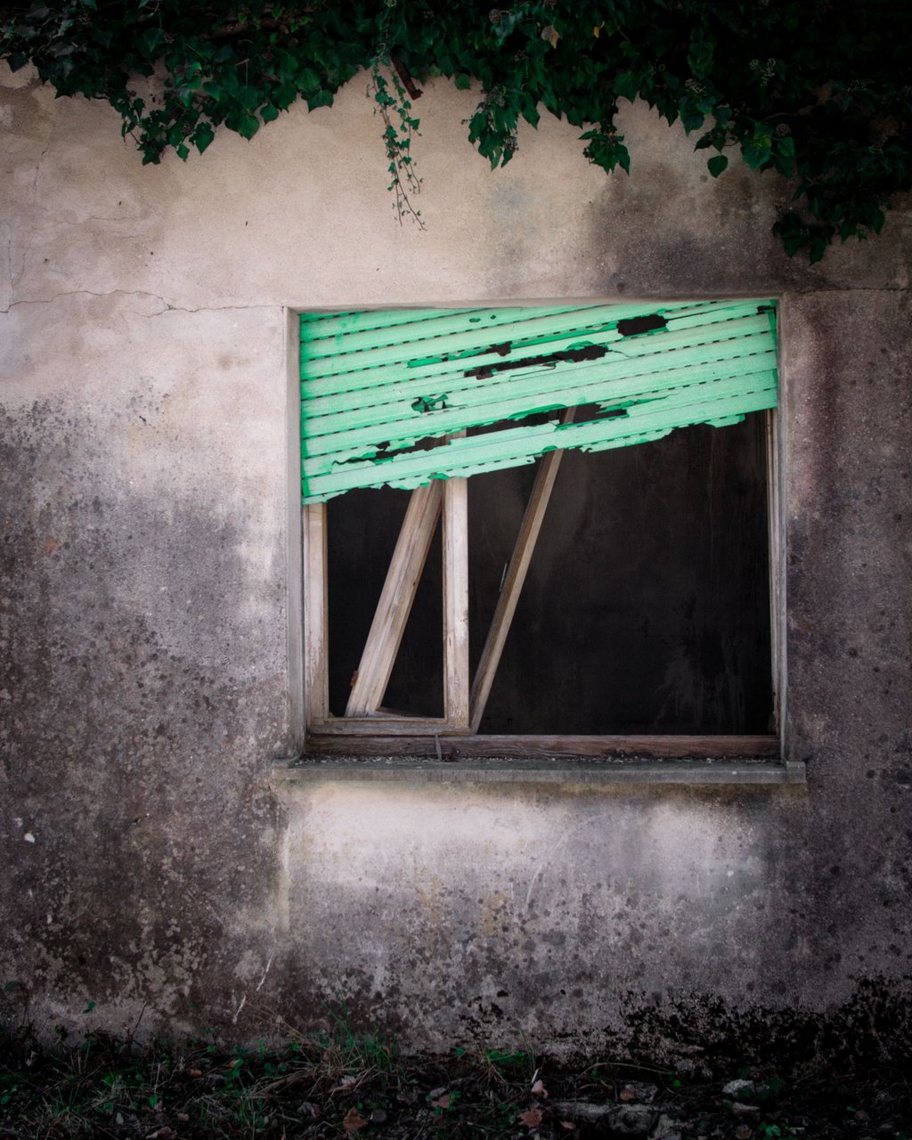 Grünes vernageltes Fenster