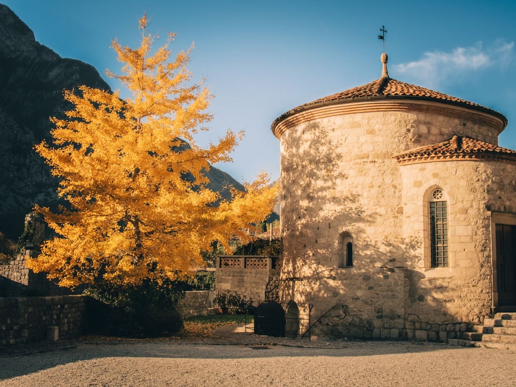 Kirchturm neben goldenem Herbstbaum