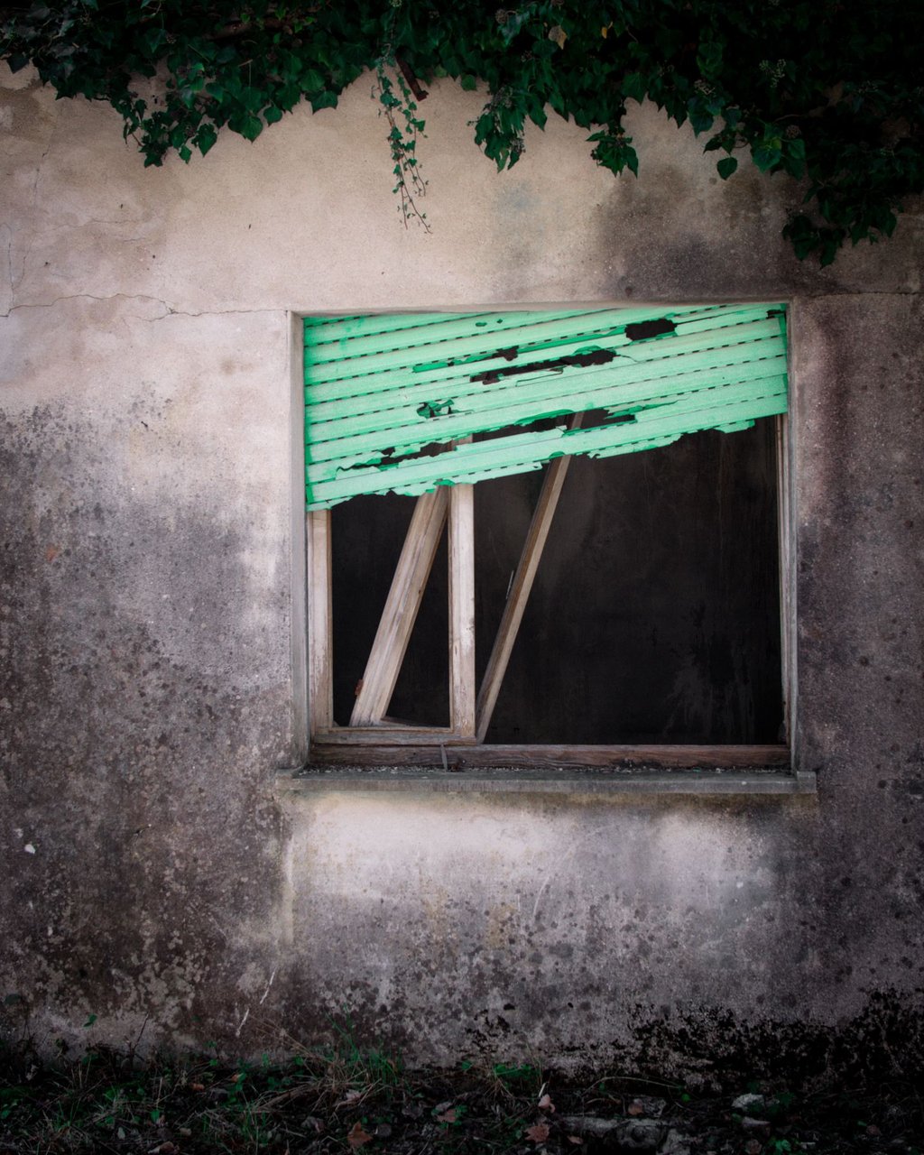 Grünes vernageltes Fenster