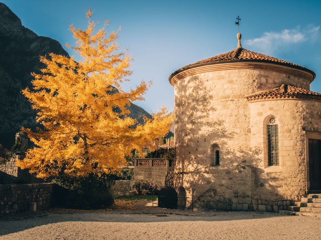 Kirchturm neben goldenem Herbstbaum