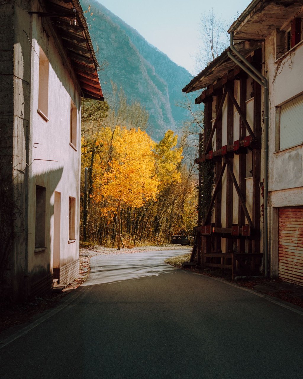 Straße mit herbstlichen Häusern